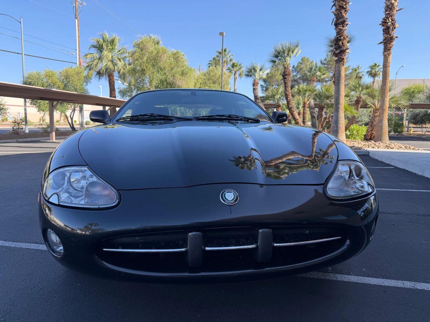 jaguar xk series 2001 SAJDA41C61NA20826 image jaguar xk series 2001 SAJDA41C61NA20826 image